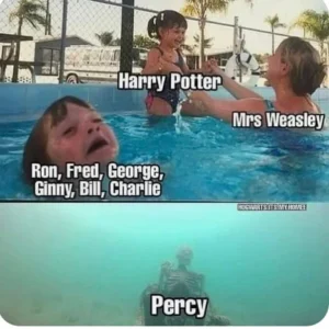 Harry Potter Memes