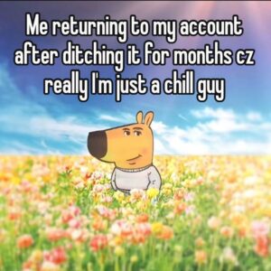 Chill Guy Memes