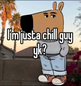 Chill Guy Memes