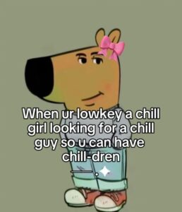 Chill Guy Memes