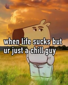 Chill Guy Memes