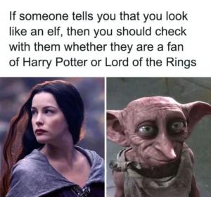 Harry Potter Memes