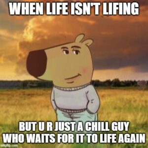 Chill Guy Memes