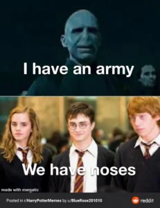 Harry Potter Memes