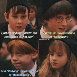 Harry Potter Memes