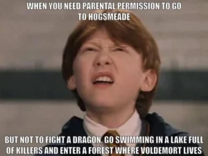 Harry Potter Memes