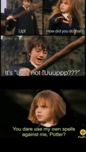 Harry Potter Memes