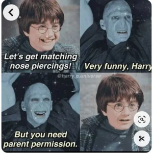 Harry Potter Memes