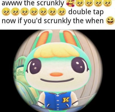 Animal Crossing Memes