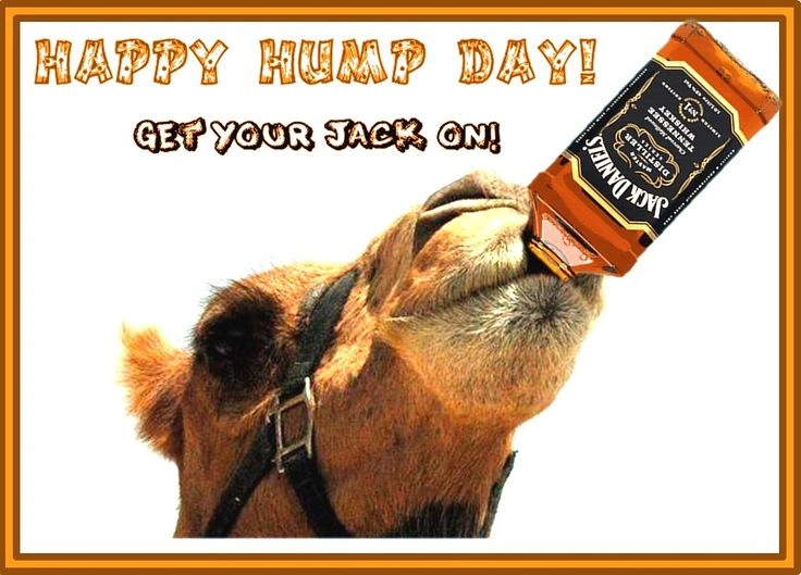 Hump Day Memes 
