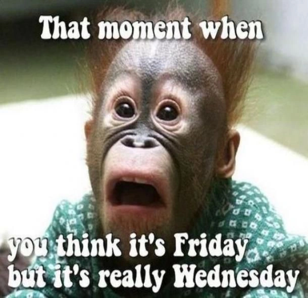 Hump Day Memes 