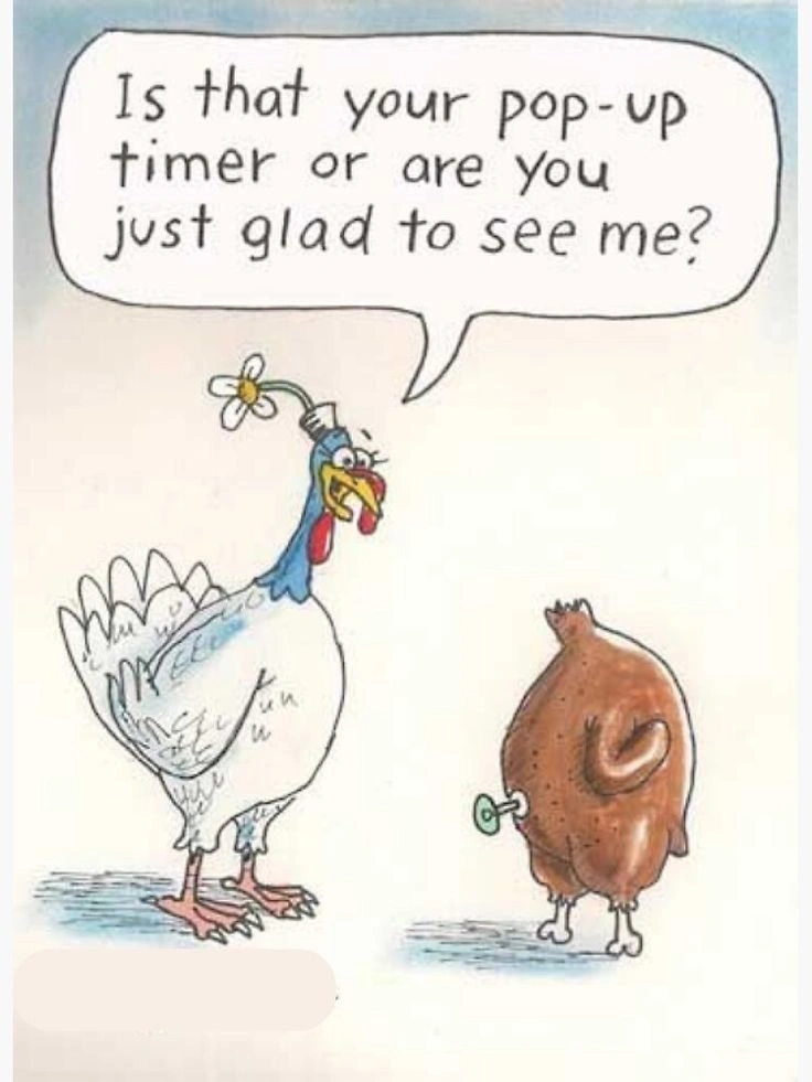 Funny Thanksgiving Memes