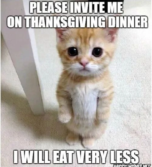 Funny Thanksgiving Memes