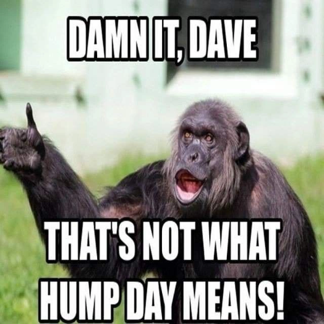 Hump Day Memes 
