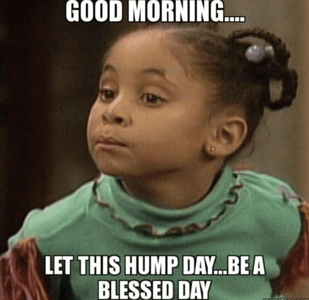 Hump Day Memes 
