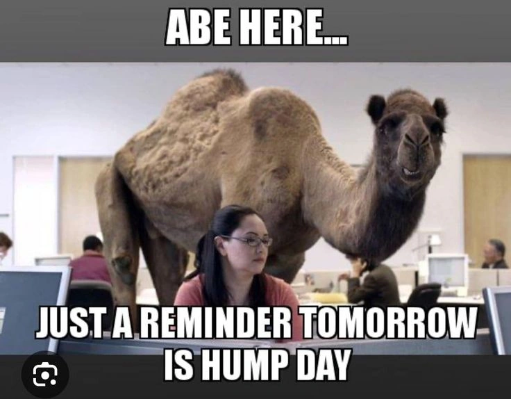Hump Day Memes 