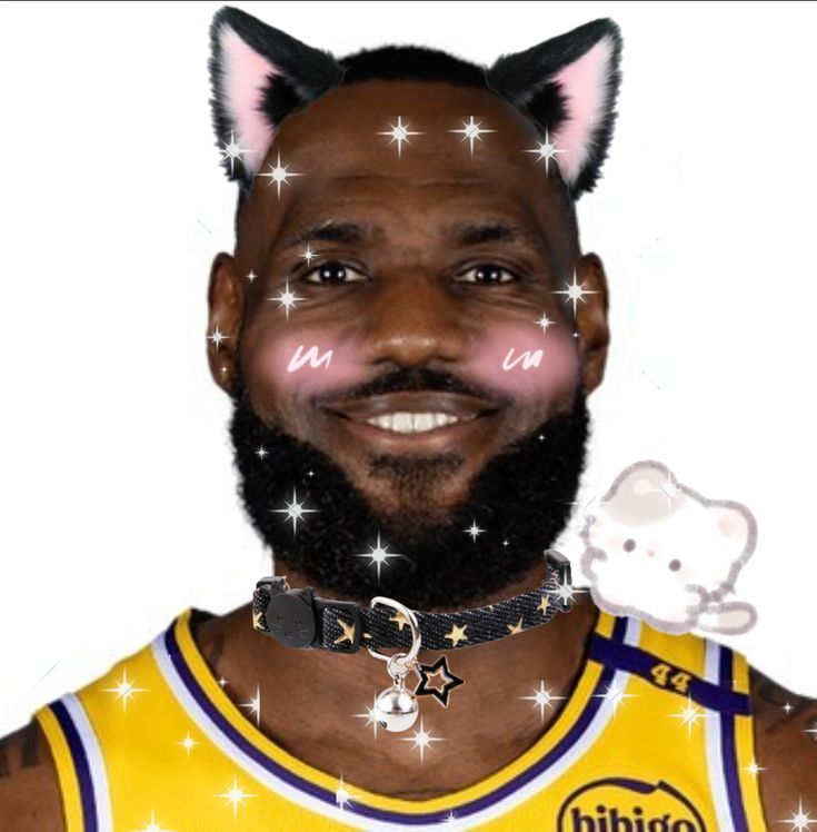 LeBron James Memes