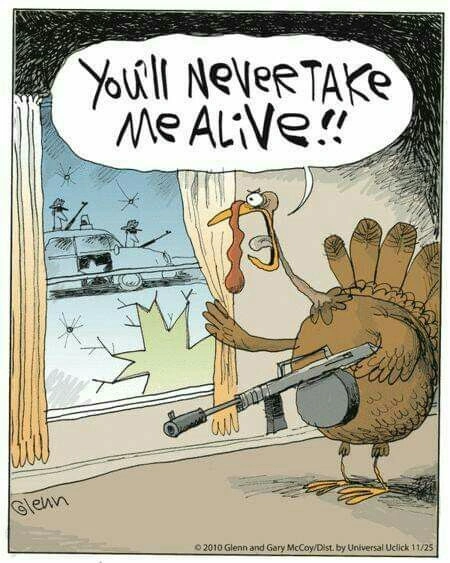 Funny Thanksgiving Memes
