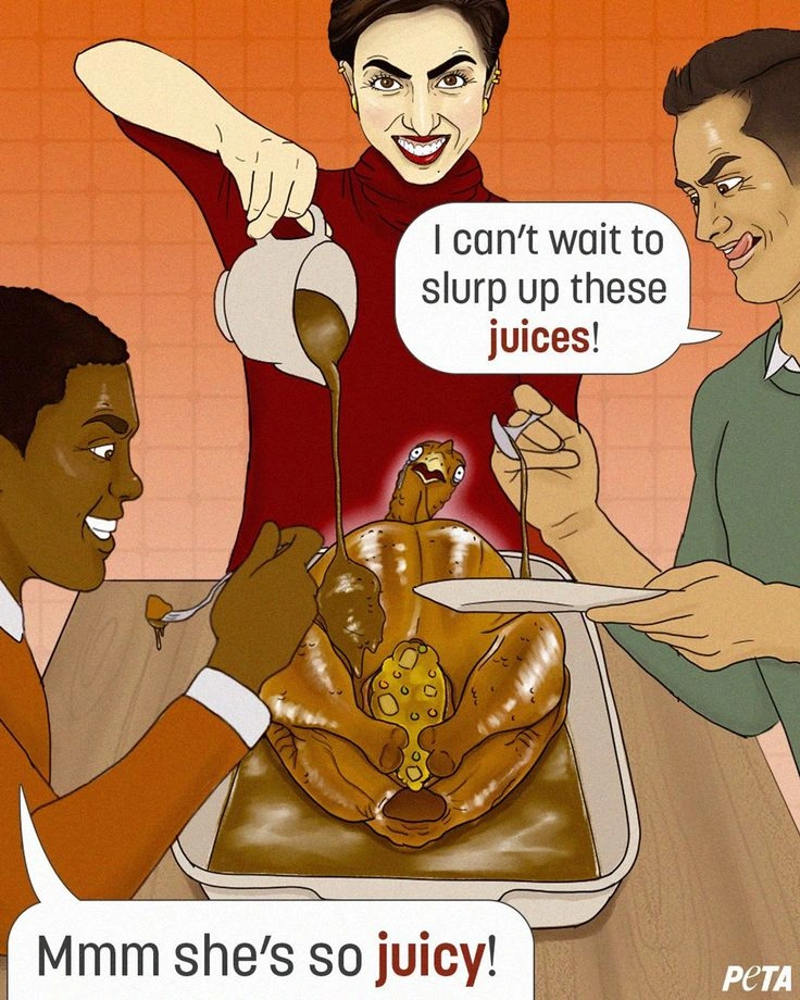 Funny Thanksgiving Memes