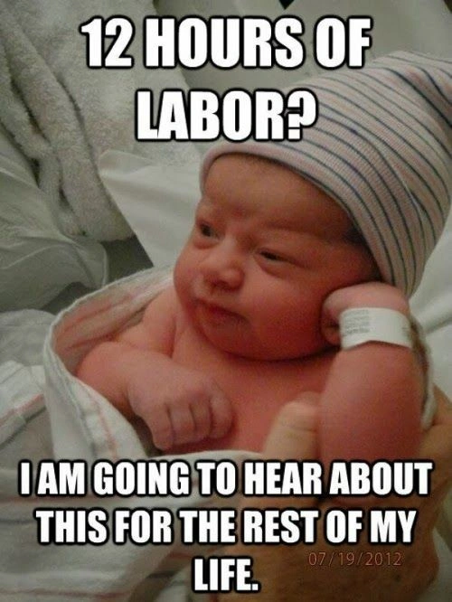 Hump Day Memes 