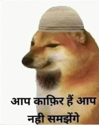 animal memes