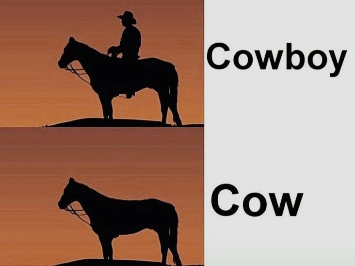 Cowboys Memes