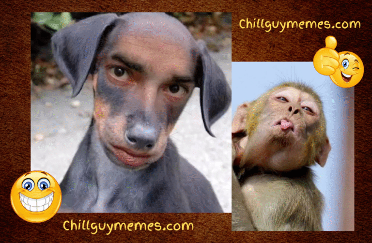 Animal Memes