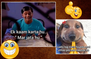 Hilarious Memes
