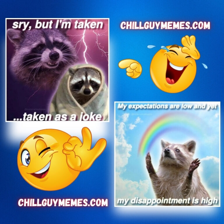 Raccoon Memes