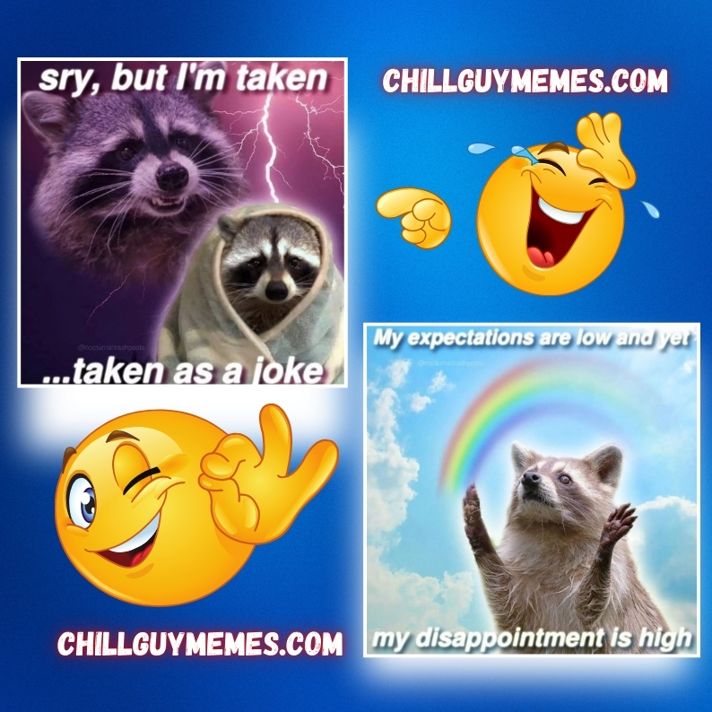 Raccoon Memes