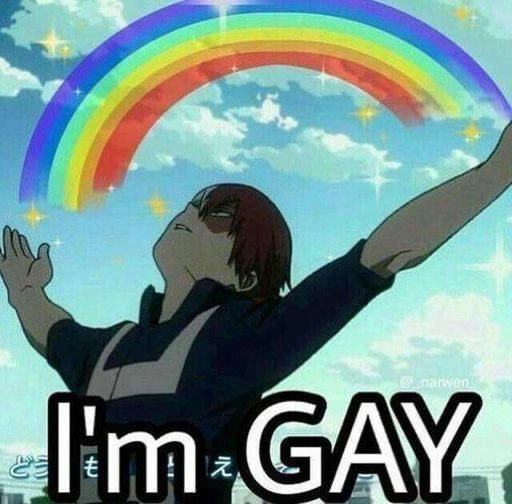 Gay Memes