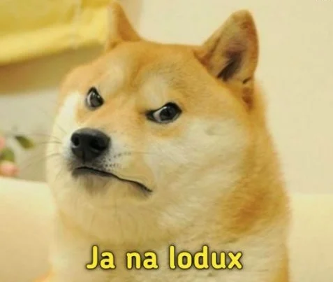 animal memes