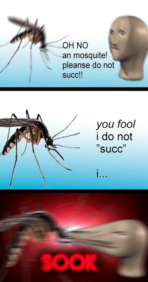 dank memes