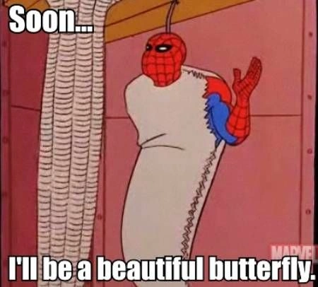 Spiderman memes