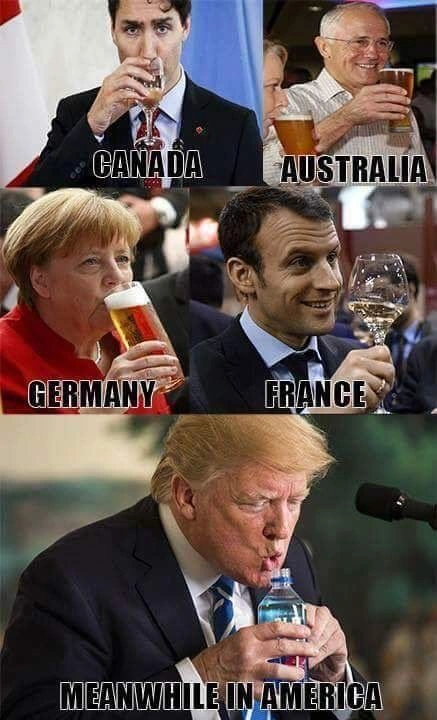 Political Memes