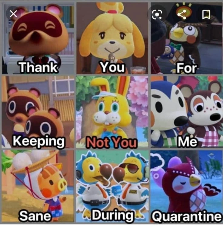 Animal Crossing Memes