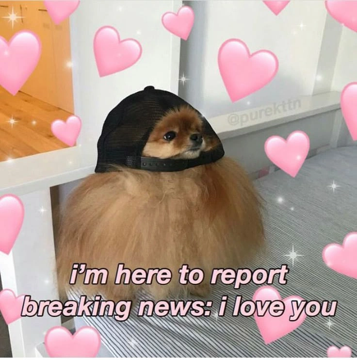 Wholesome Memes