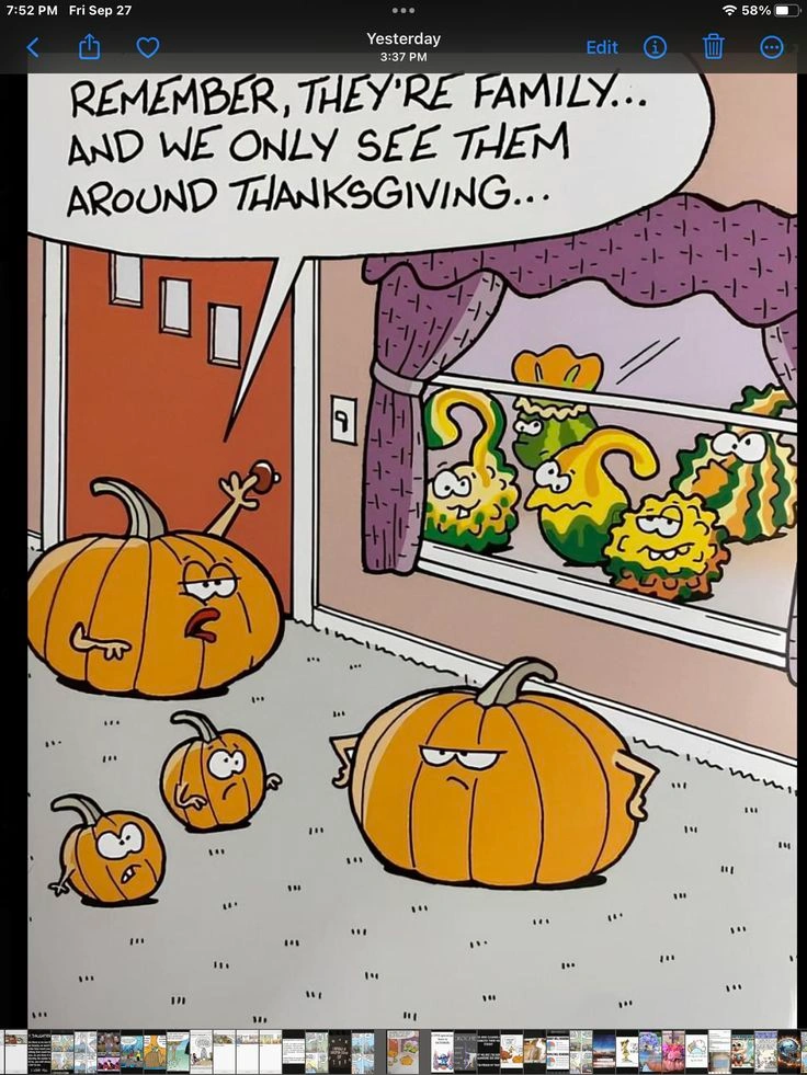 Funny Thanksgiving Memes