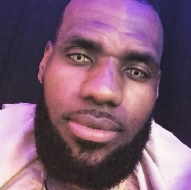 LeBron James Memes