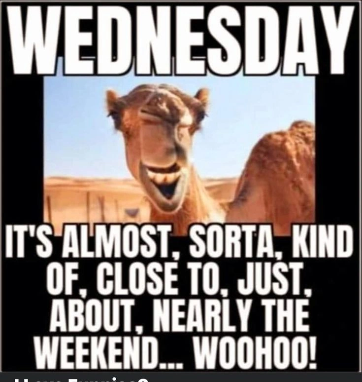 Hump Day Memes 