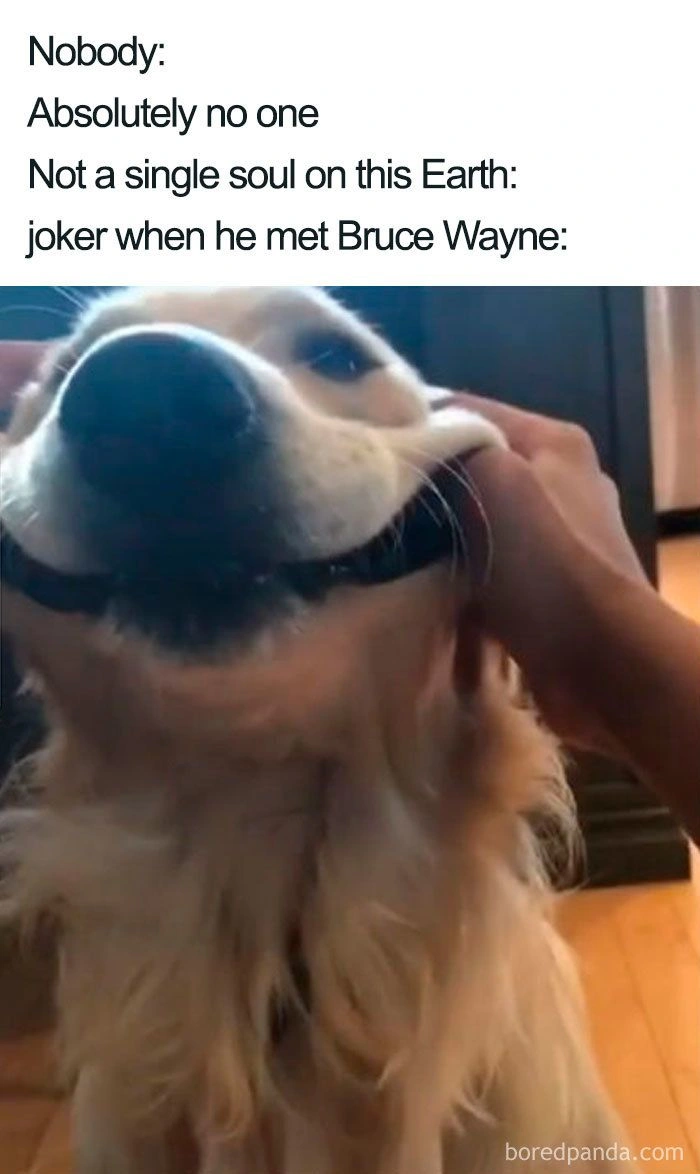 Joker Memes