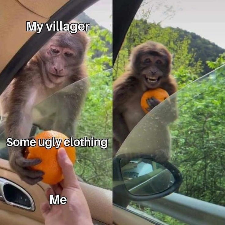 Animal Crossing Memes
