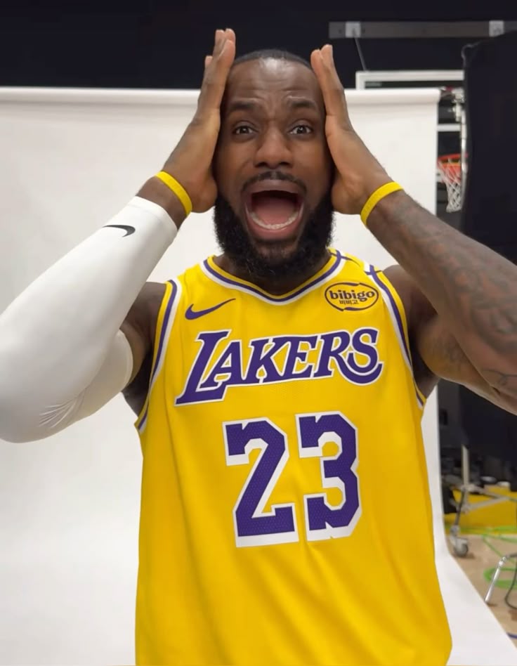 LeBron James Memes