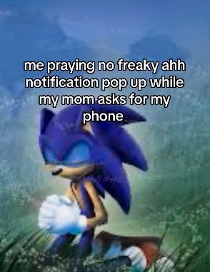 Sonic Memes