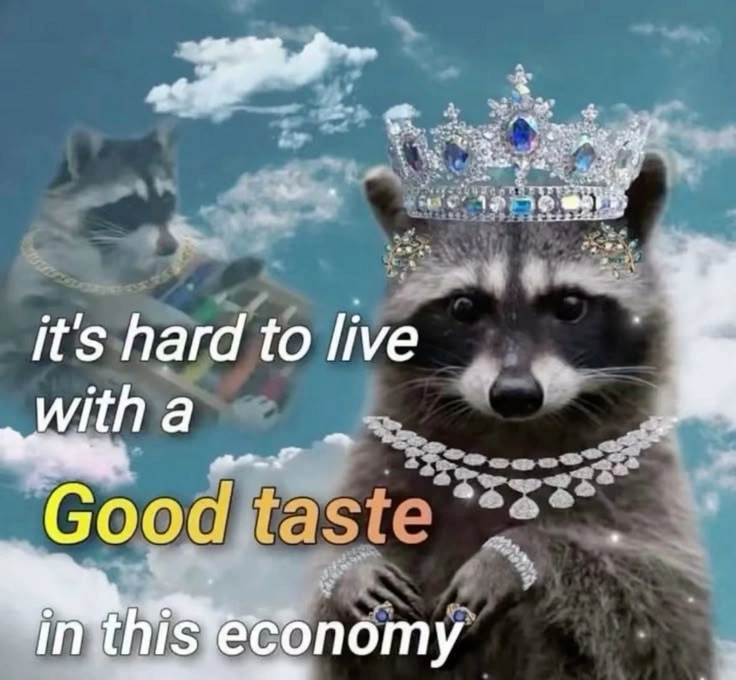 Racoon Memes