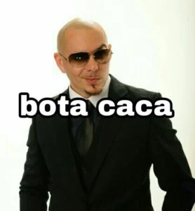 Pitbull Memes