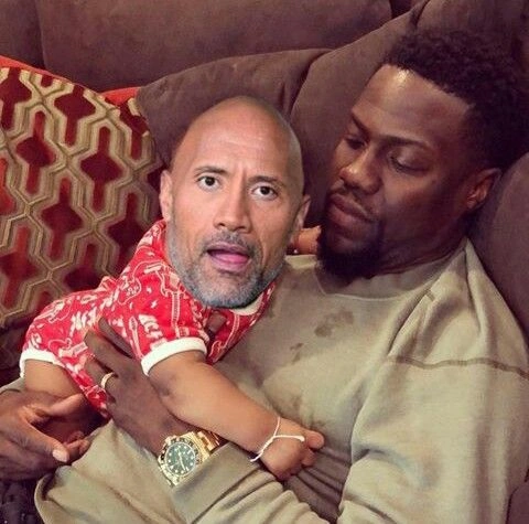 The Rock Memes