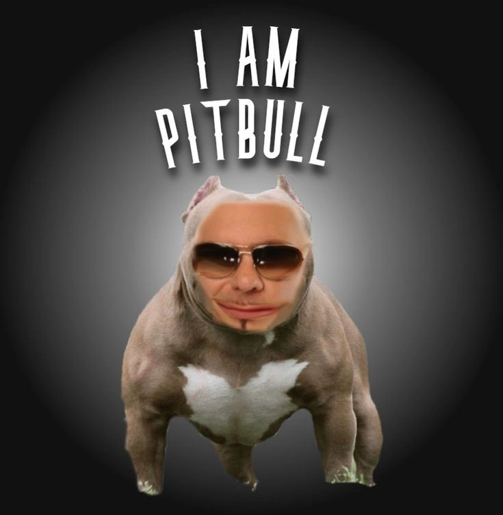 Pitbull Memes