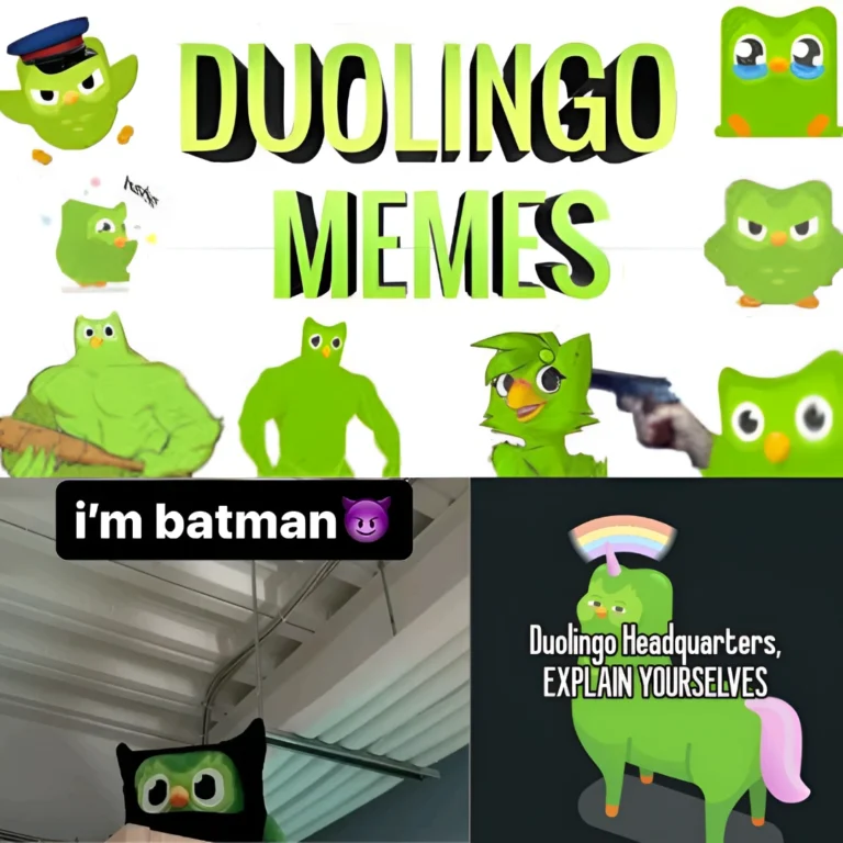 duolingo memes