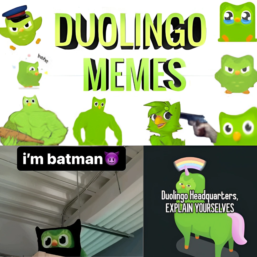 duolingo memes